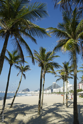 Copacabana Beach Rio de Janeiro Palm Trees © lazyllama