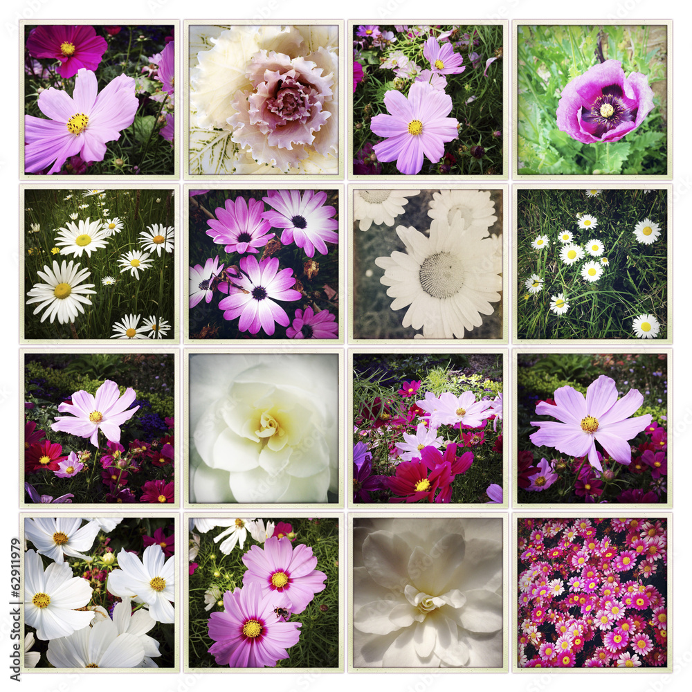 Flowers Flowers