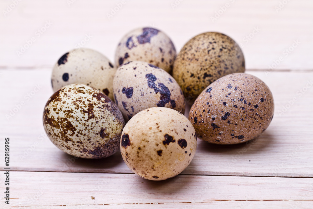 Easter decoration with chick and eggs Easter decoration with chick and eggs