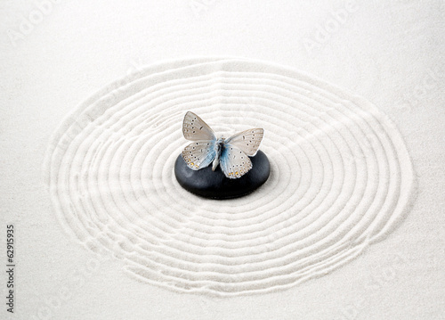 Canvas Print Zen stone with butterfly