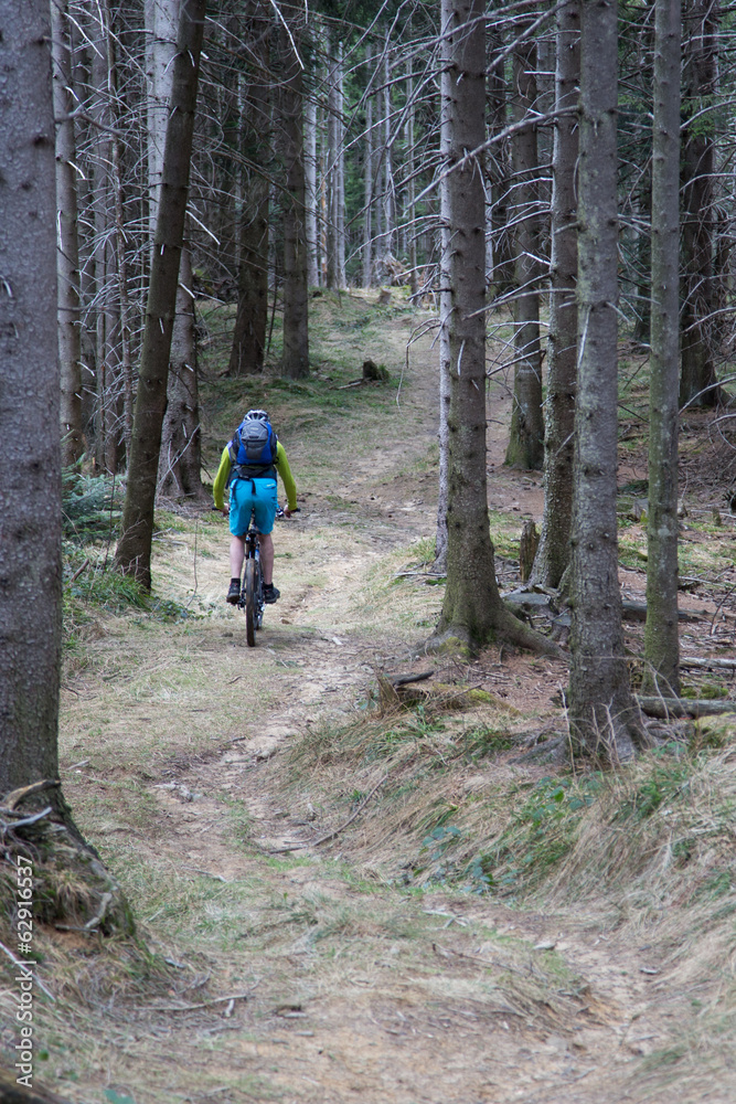 Obraz premium Trail Freude