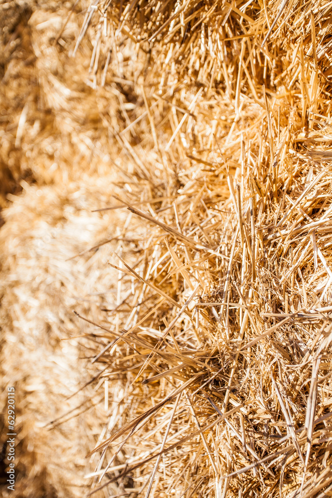Straw macro shot background and texture Straw macro shot background and texture