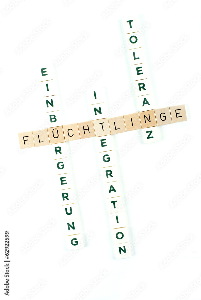 Begriffe der Flüchtlingspolitik in Deutschland Begriffe der Flüchtlingspolitik in Deutschland