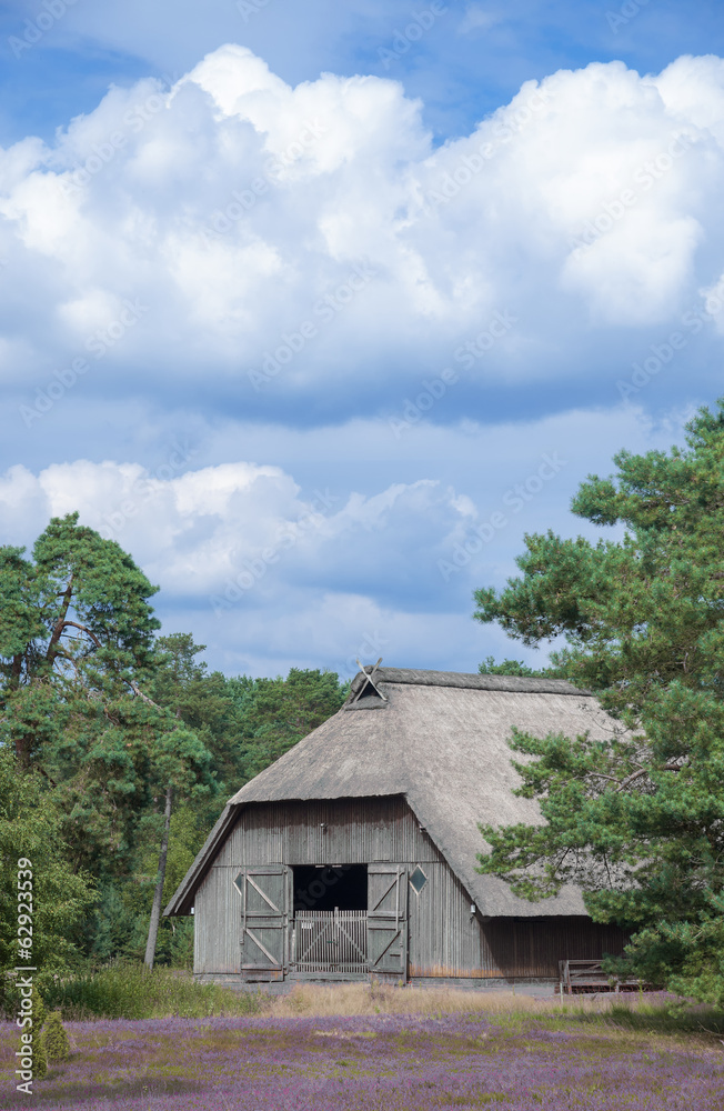 traditioneller Heidschnuckenstall in der Lüneburger Heide traditioneller Heidschnuckenstall in der Lüneburger Heide