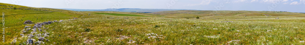 Pasture panorama Pasture panorama