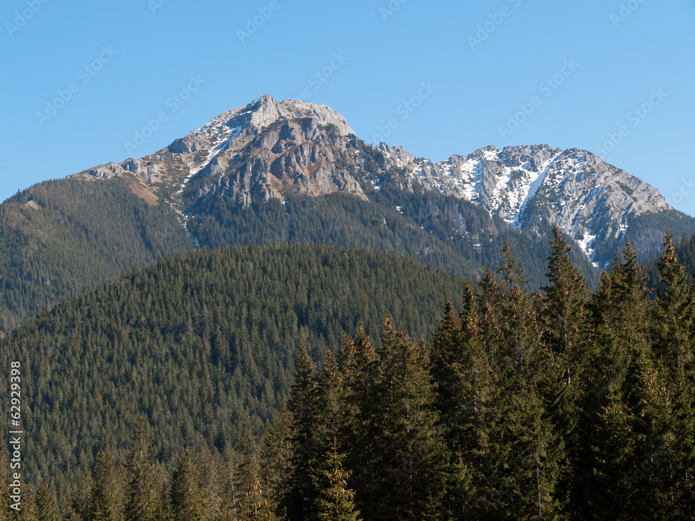 Chocholowska valley in West Tatras, Poland