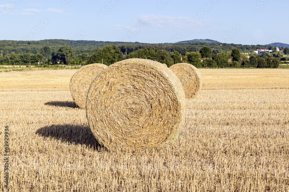 field in harvest with bale of straw