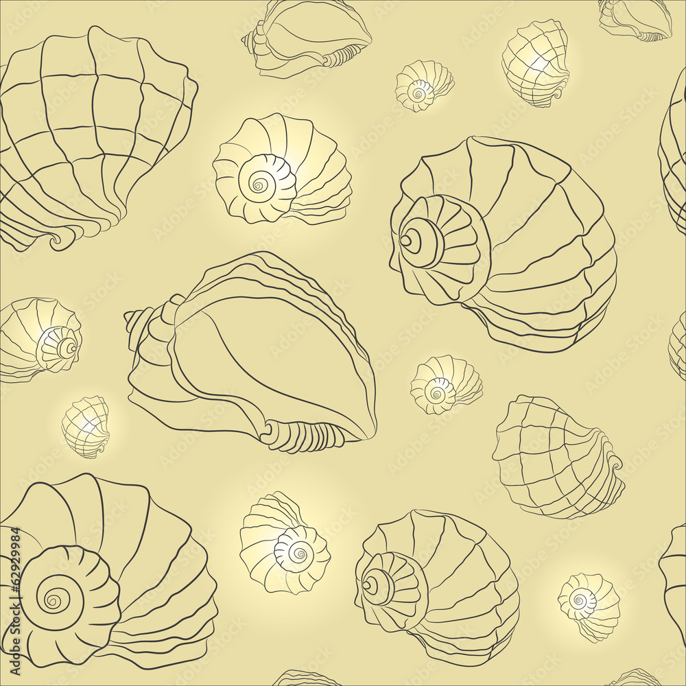 vector seashell background vector seashell background