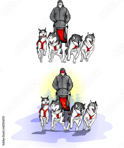 team of four sports sled dogs with dog-driver