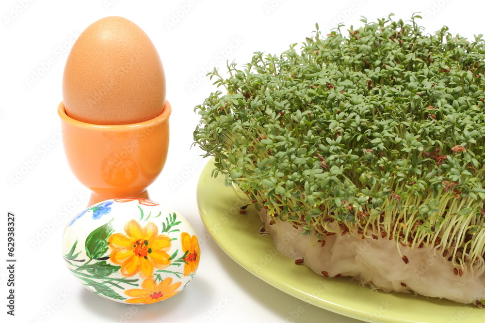Painted and fresh Easter egg with green watercress. Painted and fresh Easter egg with green watercress.