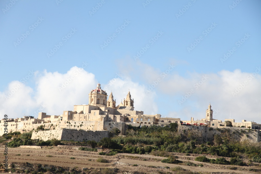 Mdina town in Malta island