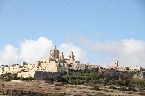 Mdina town in Malta island