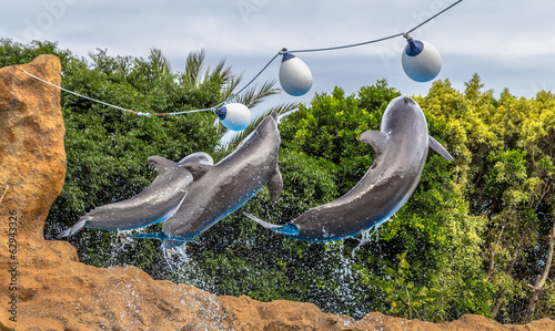 Dolphins jump with their tails splashing water all over