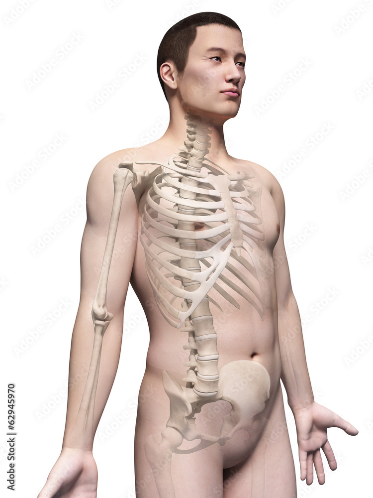Fototapeta premium illustration of the skeleton of an asian male guy