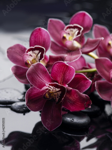 Set of branch red orchid with therapy stones