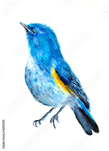 oil painting bird