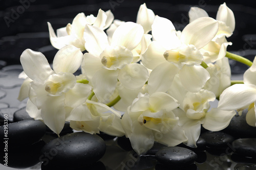 Set of branch white orchid with zen stones on black background