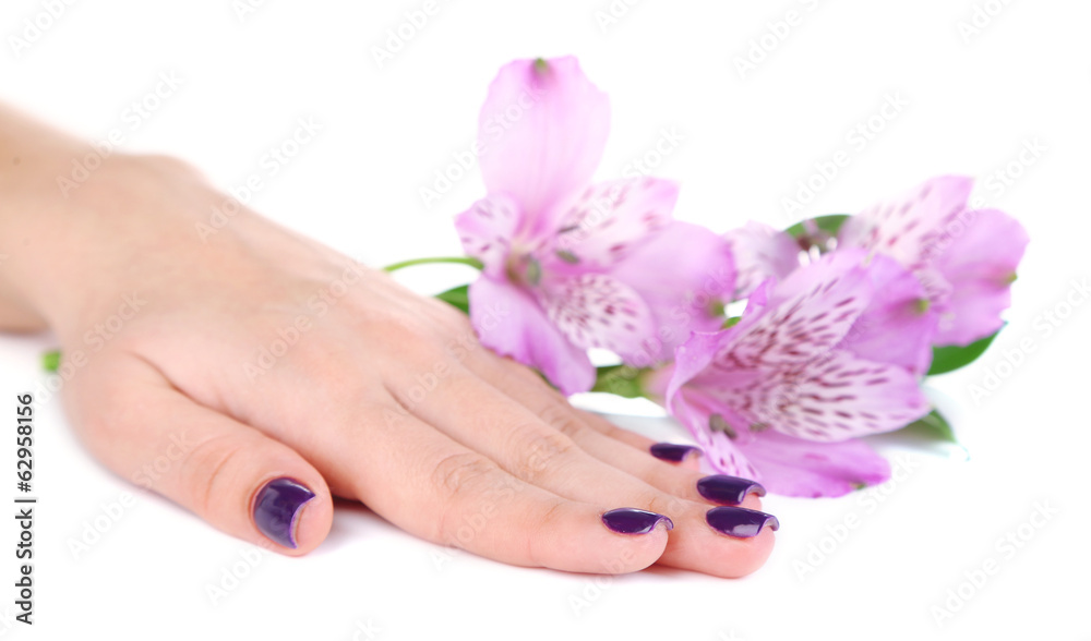 Beautiful woman hand with flowers isolated on white