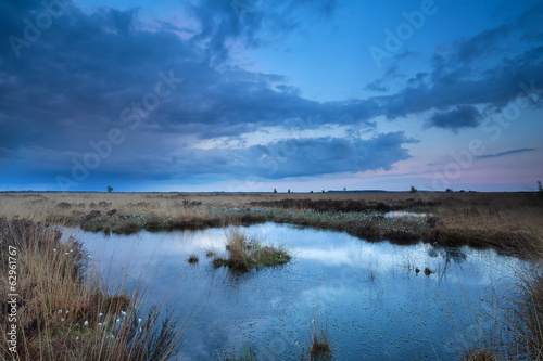 sunset sky over swamp in summer