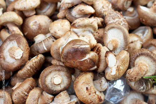 Fresh shiitake mushroom on background