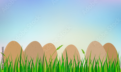 easter eggs on grass