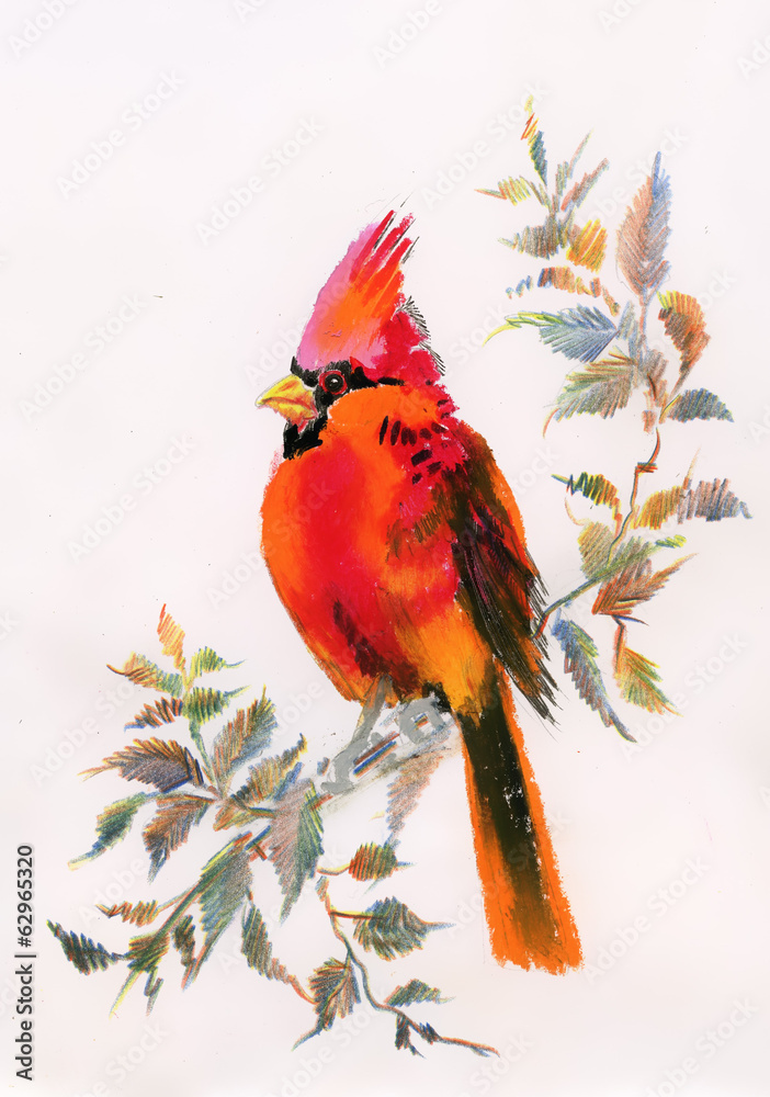 Obraz premium Watercolor painting of cardinal bird sitting on a branch