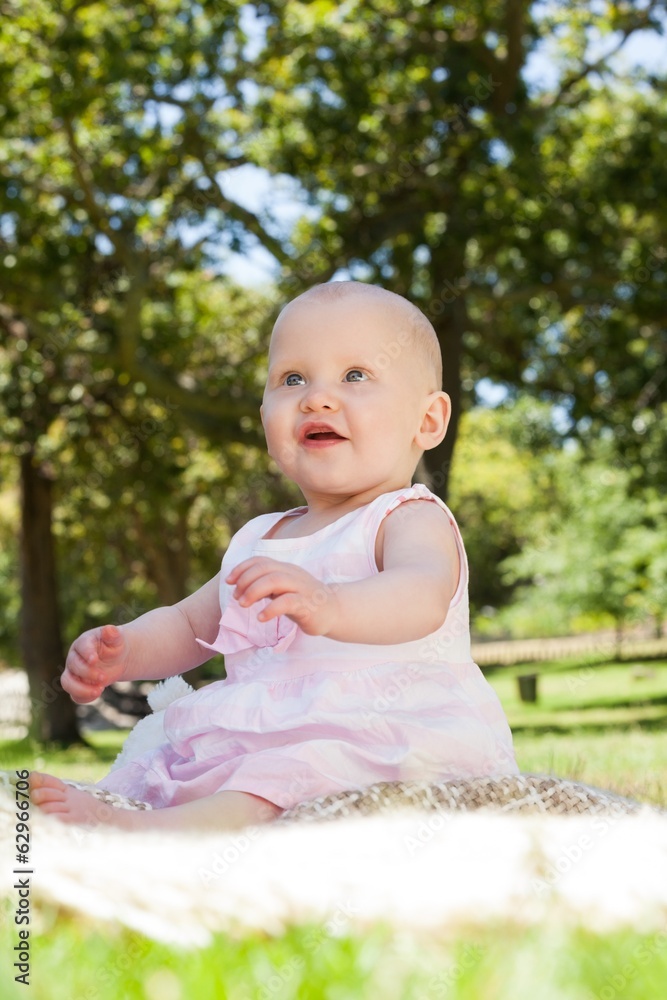 Cute baby sitting on blanket at park Cute baby sitting on blanket at park