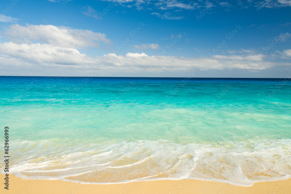 Fototapeta premium tropical beach