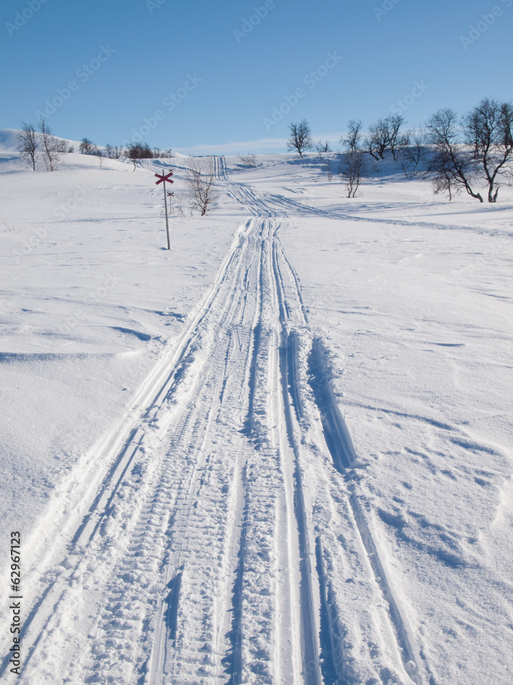 ski and snow scooter tracks in nordic winter landscape