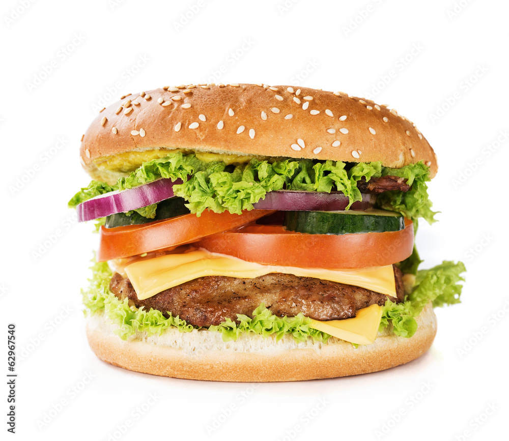 Close up of a cheeseburger isolated on white background Close up of a cheeseburger isolated on white background