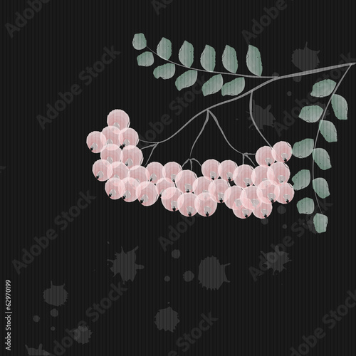 rowanberry branch
