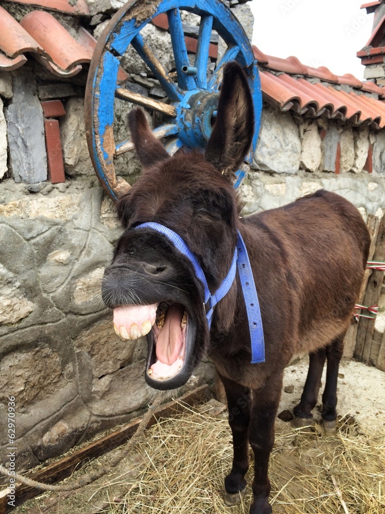 Қызбен секс видео