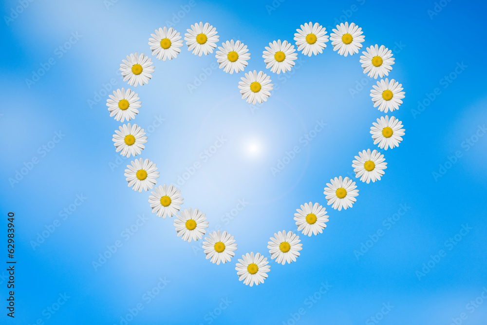 spring heart spring heart
