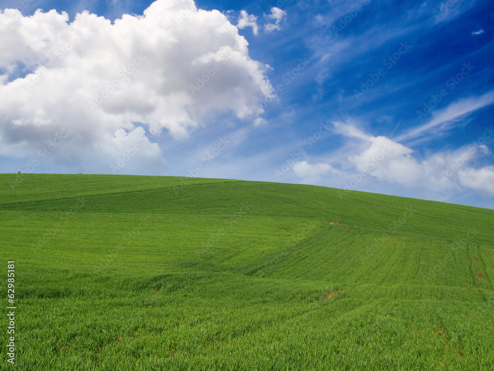 Meadow with blue clear sky.