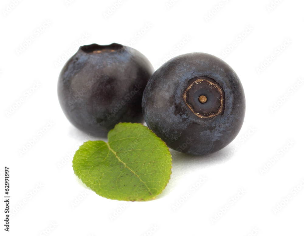 Fresh blueberries isolated on white background Fresh blueberries isolated on white background