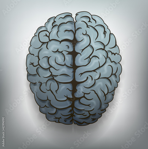 Human brain. View from above. Vector.