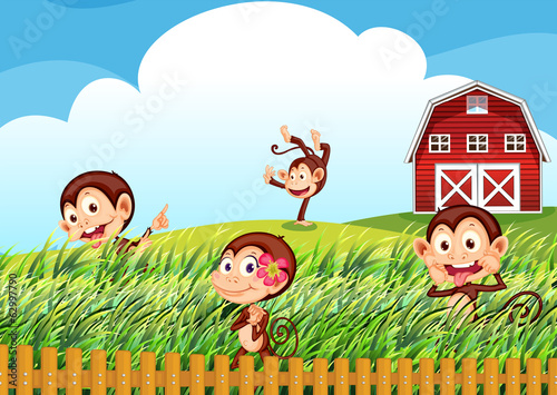A farm with monkeys