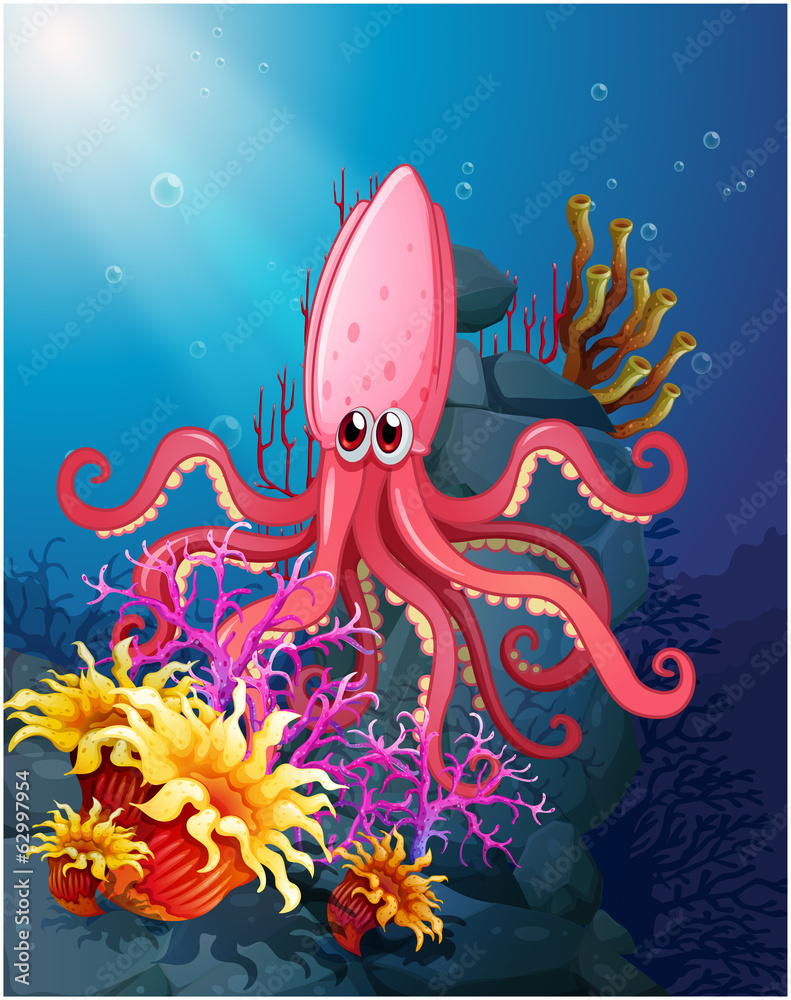 Fototapeta premium A big squid under the sea with the corals