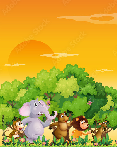 A group of animals walking at the forest