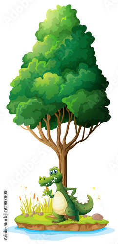 A crocodile in the island