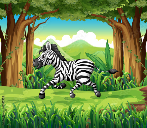 A zebra at the jungle