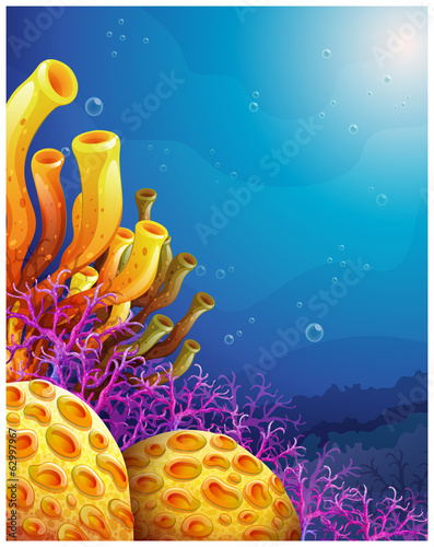 Beautiful corals under the sea