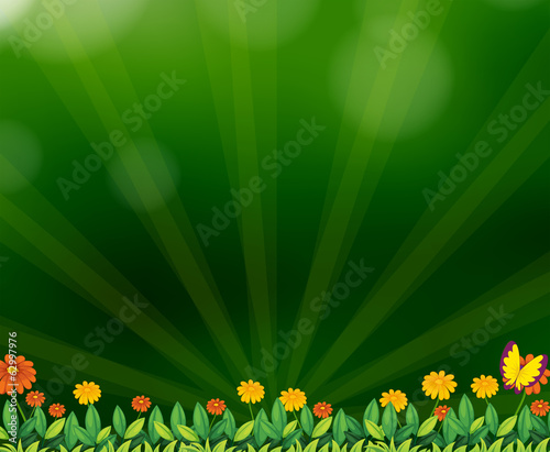 A gradient colored background