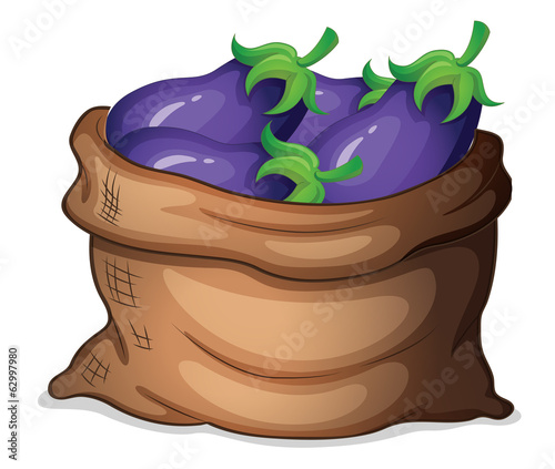 A sack of eggplants photo