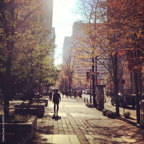 Canvas Print street of tokyo