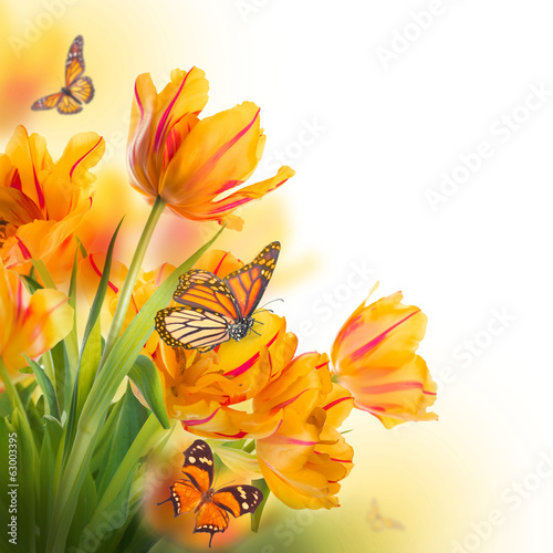 Fototapeta Naklejka Na Ścianę i Meble -  Red tulips  and  butterfly. Floral background.
