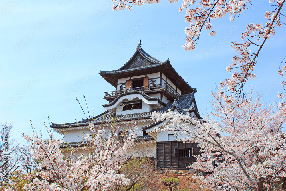 犬山城 犬山城
