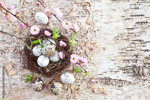 Kleines Osternest mit Wachteleiern photo