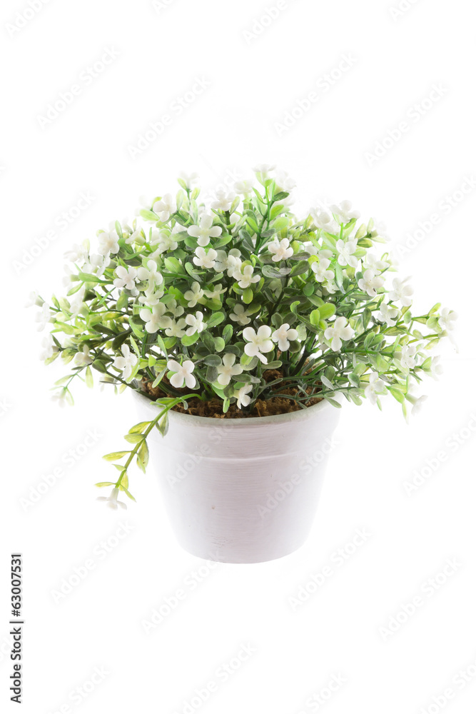 isolated image of the fake flower with vase on white background isolated image of the fake flower with vase on white background
