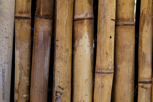 photography of natural bambu texture